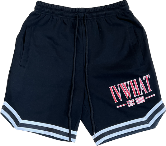 IVWHAT “ PLAYOFF “ SHORTS